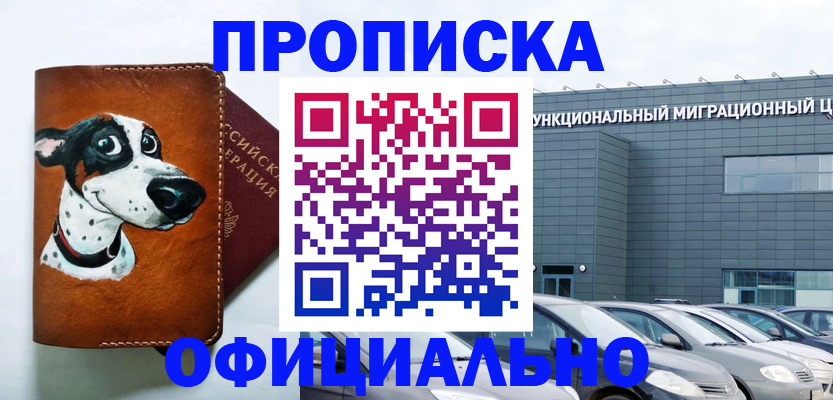 временная прописка в Светлограде